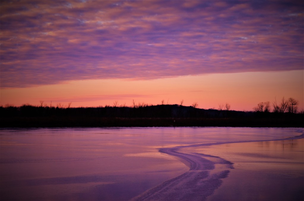 PARTICLES TO WAVES: New Blog&nbsp;Project